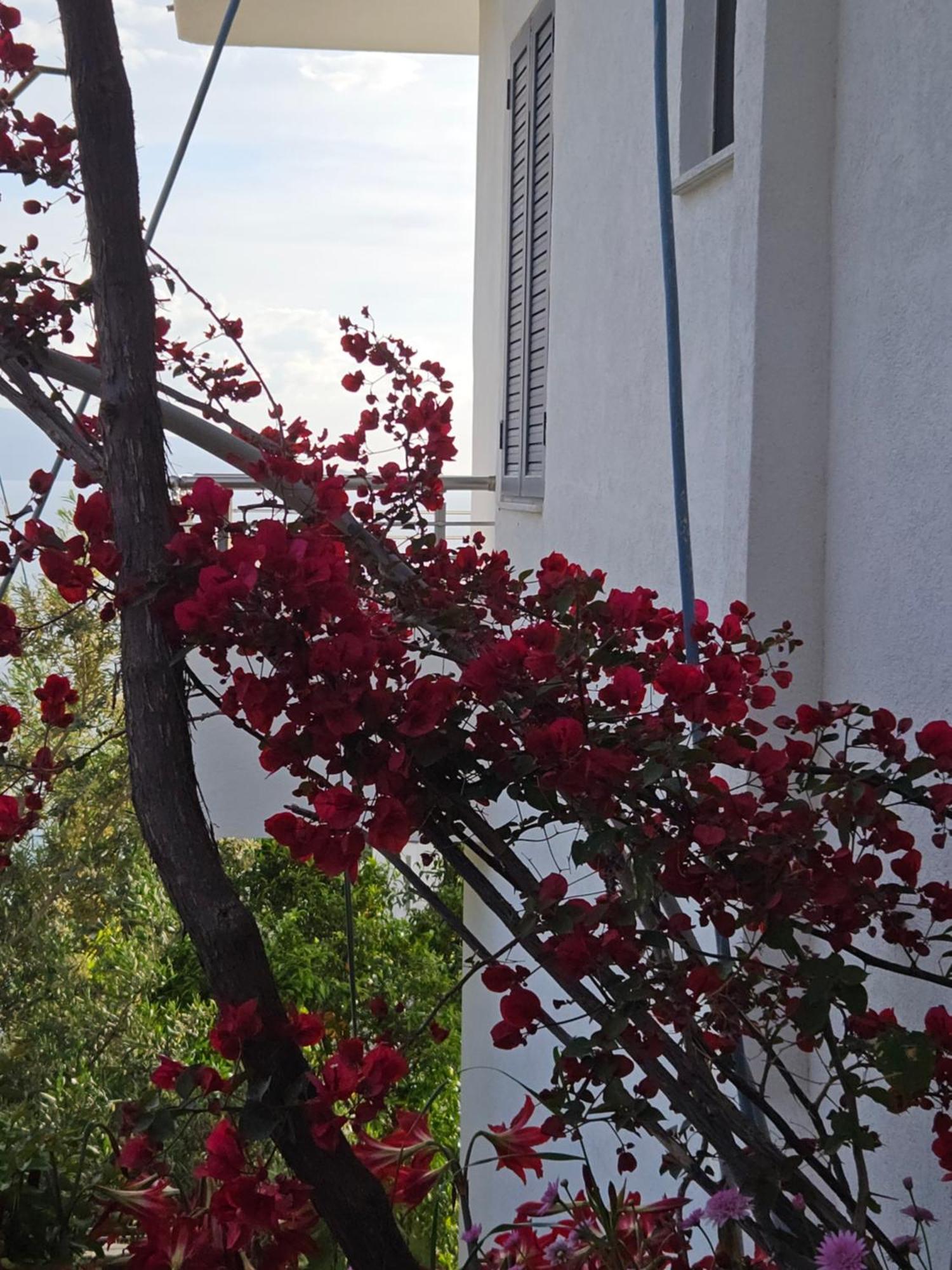 Nora'S Guesthouse ซารานเดอ ภายนอก รูปภาพ