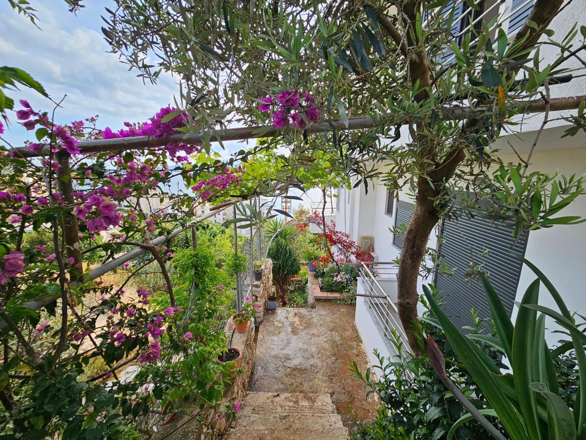 Nora'S Guesthouse ซารานเดอ ภายนอก รูปภาพ