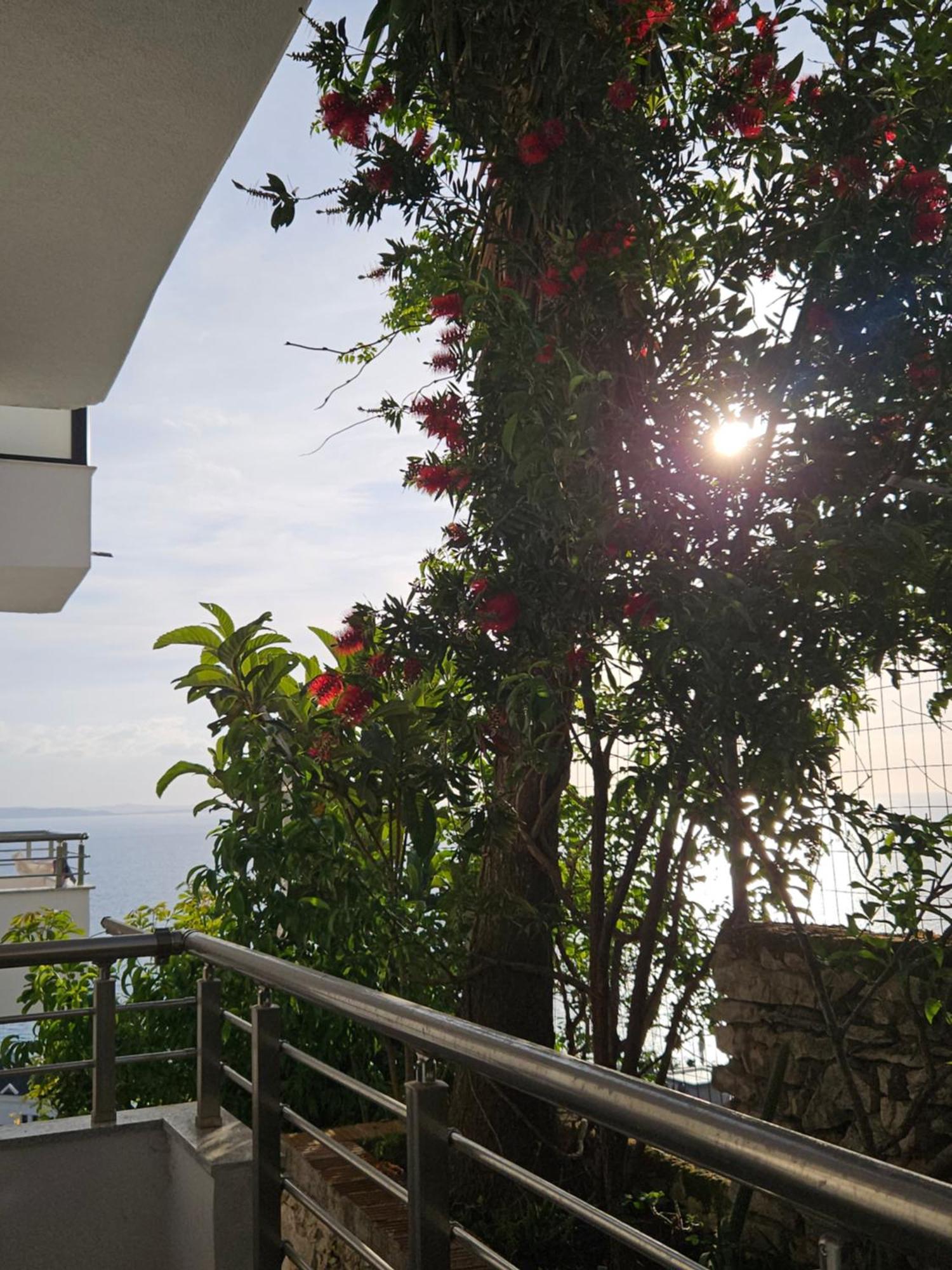 Nora'S Guesthouse ซารานเดอ ภายนอก รูปภาพ