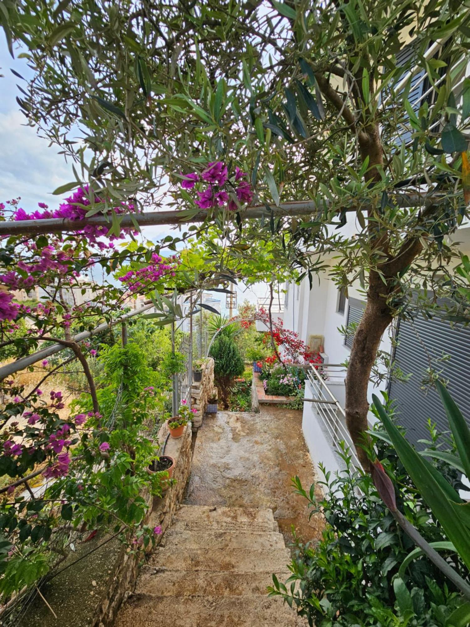Nora'S Guesthouse ซารานเดอ ภายนอก รูปภาพ