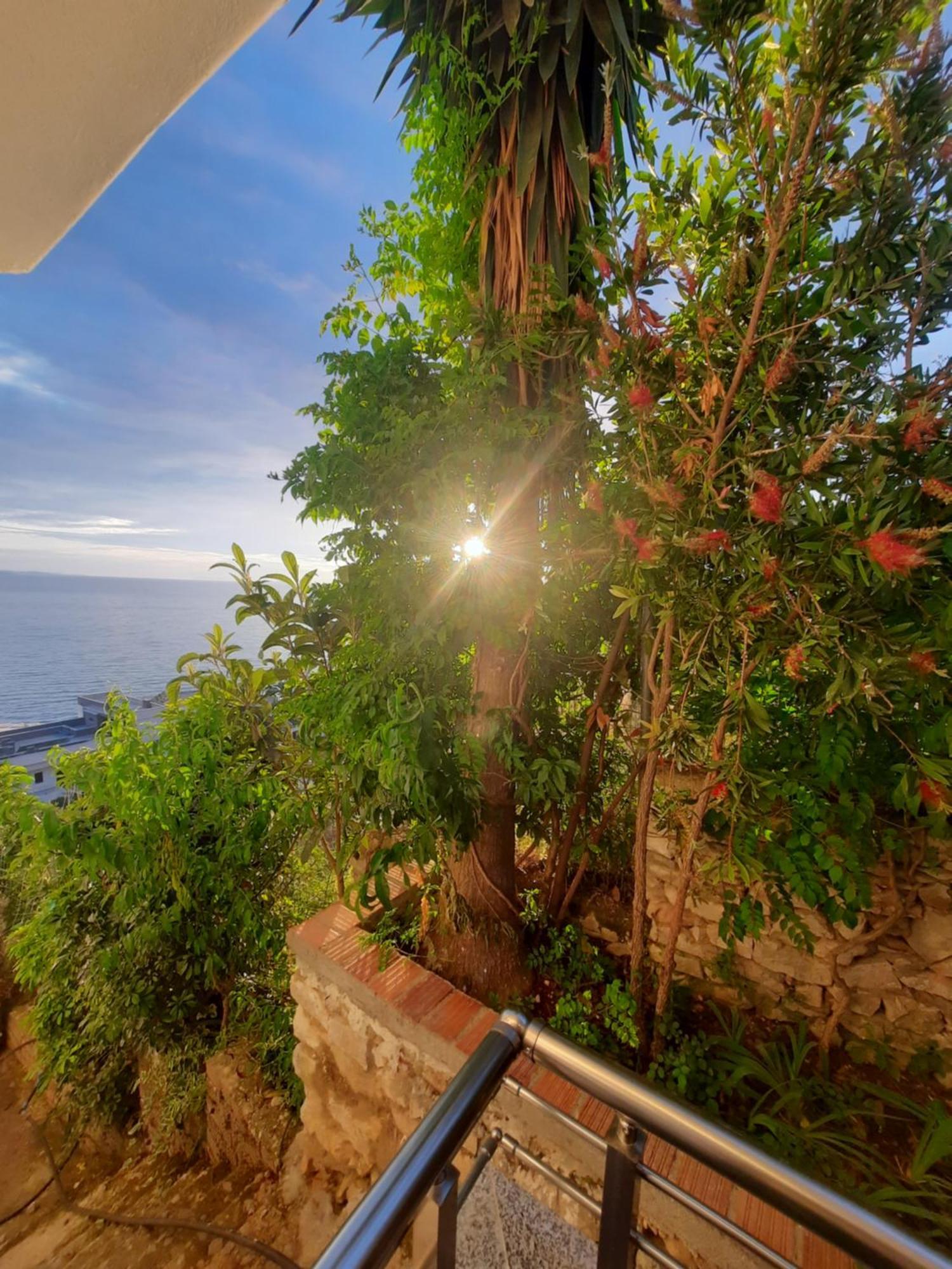 Nora'S Guesthouse ซารานเดอ ภายนอก รูปภาพ